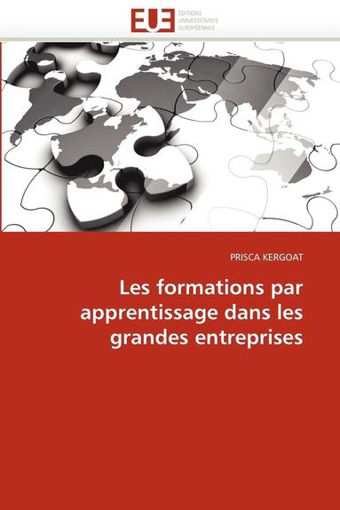 bokomslag Les Formations Par Apprentissage Dans Les Grandes Entreprises