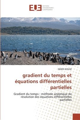 bokomslag Donne-D: FRE-GRADIENT DU TEMPS ET EQUAT