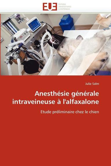 bokomslag Anesth sie G n rale Intraveineuse   l'Alfaxalone