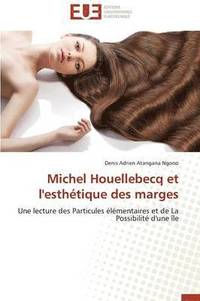 bokomslag Michel Houellebecq Et l'Esth tique Des Marges