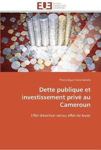 bokomslag Dette publique et investissement prive au cameroun
