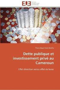 bokomslag Dette publique et investissement privé au cameroun