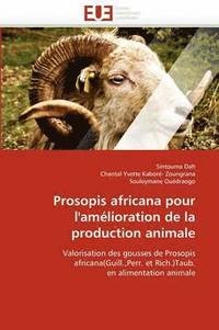 bokomslag Prosopis Africana Pour l''am lioration de la Production Animale