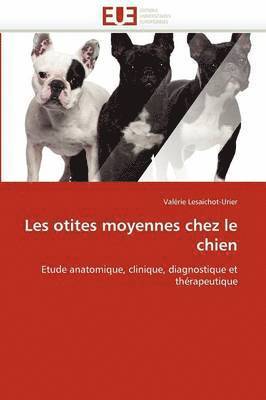 Les Otites Moyennes Chez Le Chien 1