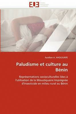 bokomslag Paludisme Et Culture Au B nin