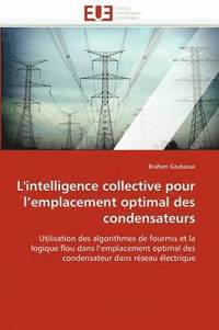 bokomslag L''intelligence Collective Pour l''emplacement Optimal Des Condensateurs