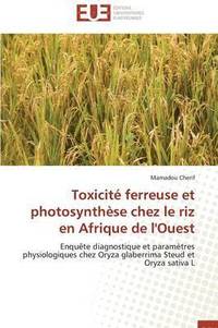 bokomslag Toxicite Ferreuse Et Photosynthese Chez Le Riz En Afrique de L'Ouest
