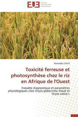 Toxicite Ferreuse Et Photosynthese Chez Le Riz En Afrique de L'Ouest 1