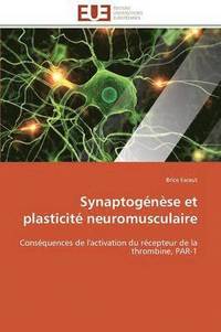 bokomslag Synaptog n se Et Plasticit  Neuromusculaire