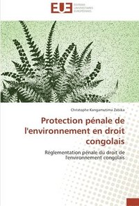 bokomslag Protection penale de l'environnement en droit congolais