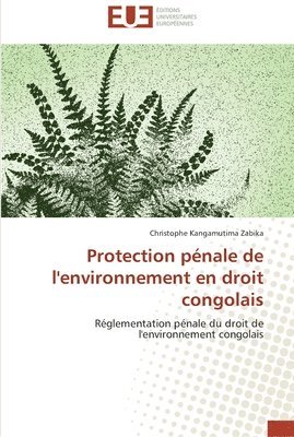 bokomslag Protection pénale de l'environnement en droit congolais