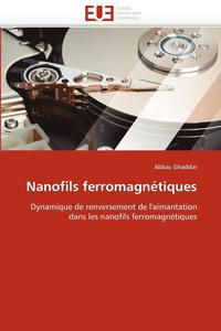bokomslag Nanofils Ferromagn tiques