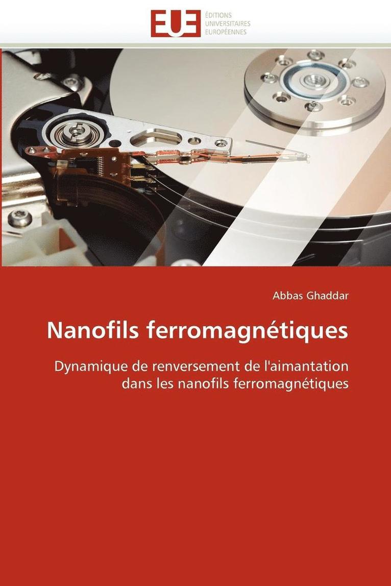 Nanofils Ferromagn tiques 1