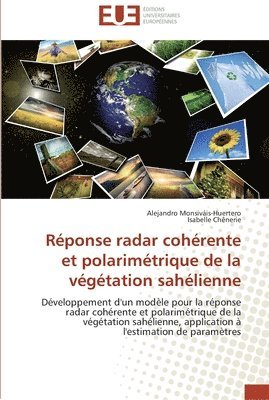 bokomslag Réponse radar cohérente et polarimétrique de la végétation sahélienne