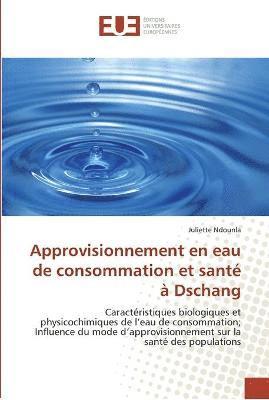 bokomslag Approvisionnement en eau de consommation et sante a dschang