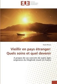 bokomslag Vieillir en pays étranger