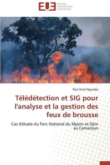bokomslag T?l?d?tection Et Sig Pour l'Analyse Et La Gestion Des Feux de Brousse