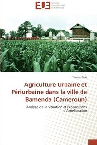 bokomslag Agriculture urbaine et periurbaine dans la ville de bamenda (cameroun)