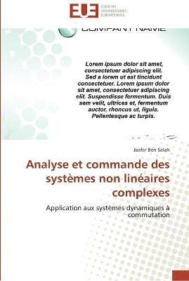 Analyse et commande des systemes non lineaires complexes 1