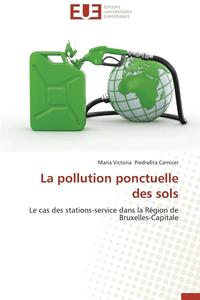 bokomslag La Pollution Ponctuelle Des Sols