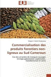 bokomslag Commercialisation des produits forestiers non-ligneux au sud cameroun