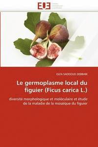 bokomslag Le Germoplasme Local Du Figuier (Ficus Carica L.)