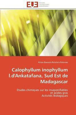 Calophyllum Inophyllum L.d'Ankatafana, Sud Est de Madagascar 1