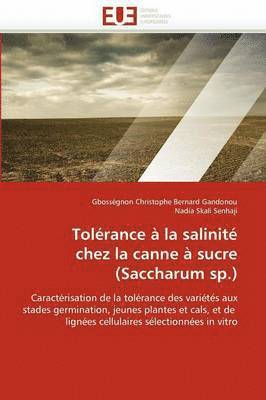 bokomslag Tolérance à la salinité chez la canne à sucre (saccharum sp.)