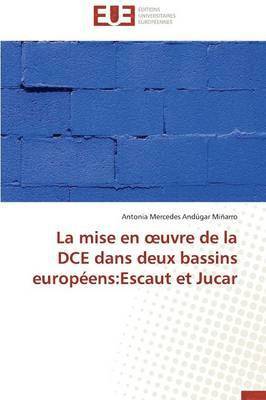 bokomslag La Mise En Uvre de la DCE Dans Deux Bassins Europ ens