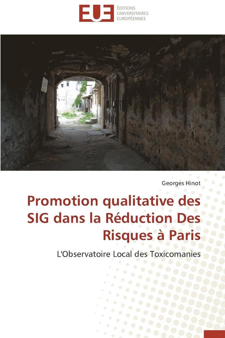 Promotion Qualitative Des Sig Dans La R duction Des Risques   Paris 1
