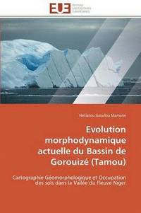 bokomslag Evolution Morphodynamique Actuelle Du Bassin de Gorouiz  (Tamou)