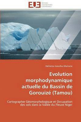 bokomslag Evolution Morphodynamique Actuelle Du Bassin de Gorouiz? (Tamou)