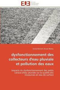 bokomslag Dysfonctionnement Des Collecteurs d'Eau Pluviale Et Pollution Des Eaux