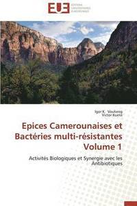 bokomslag Epices Camerounaises Et Bact ries Multi-R sistantes Volume 1