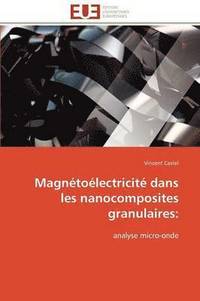 bokomslag Magn to lectricit  Dans Les Nanocomposites Granulaires