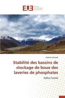 Stabilite Des Bassins de Stockage de Boue Des Laveries de Phosphates 1