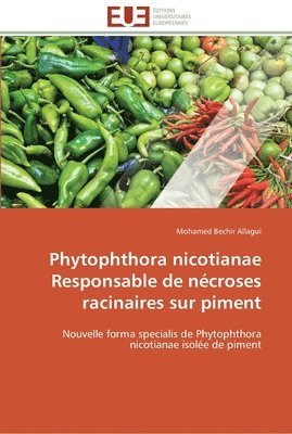 bokomslag Phytophthora nicotianae responsable de nécroses racinaires sur piment
