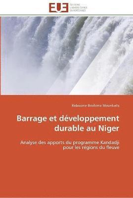 bokomslag Barrage et developpement durable au niger