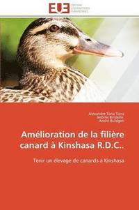 bokomslag Am lioration de la Fili re Canard   Kinshasa R.D.C..