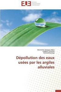 bokomslag D pollution Des Eaux Us es Par Les Argiles Alluviales