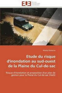 bokomslag Etude Du Risque d'Inondation Au Sud-Ouest de la Plaine Du Cul-De-Sac