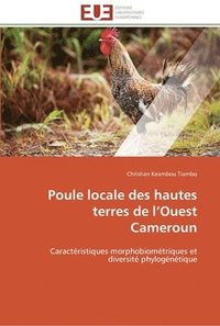 bokomslag Poule locale des hautes terres de l ouest cameroun