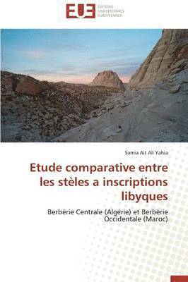 bokomslag Etude Comparative Entre Les St les a Inscriptions Libyques