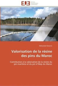 bokomslag Valorisation de la resine des pins du maroc