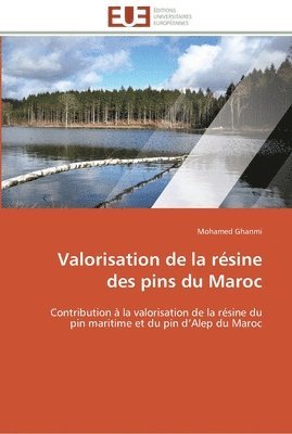 bokomslag Valorisation de la résine des pins du maroc