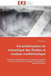 bokomslag Param trisation En M canique Des Fluides Et Analyse Math matique
