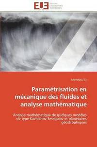 bokomslag Paramétrisation en mécanique des fluides et analyse mathématique