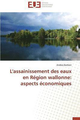 bokomslag L'Assainissement Des Eaux En R gion Wallonne