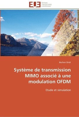 Systeme de transmission mimo associe a une modulation ofdm 1