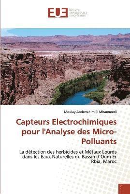 bokomslag Capteurs electrochimiques pour l'analyse des micro-polluants